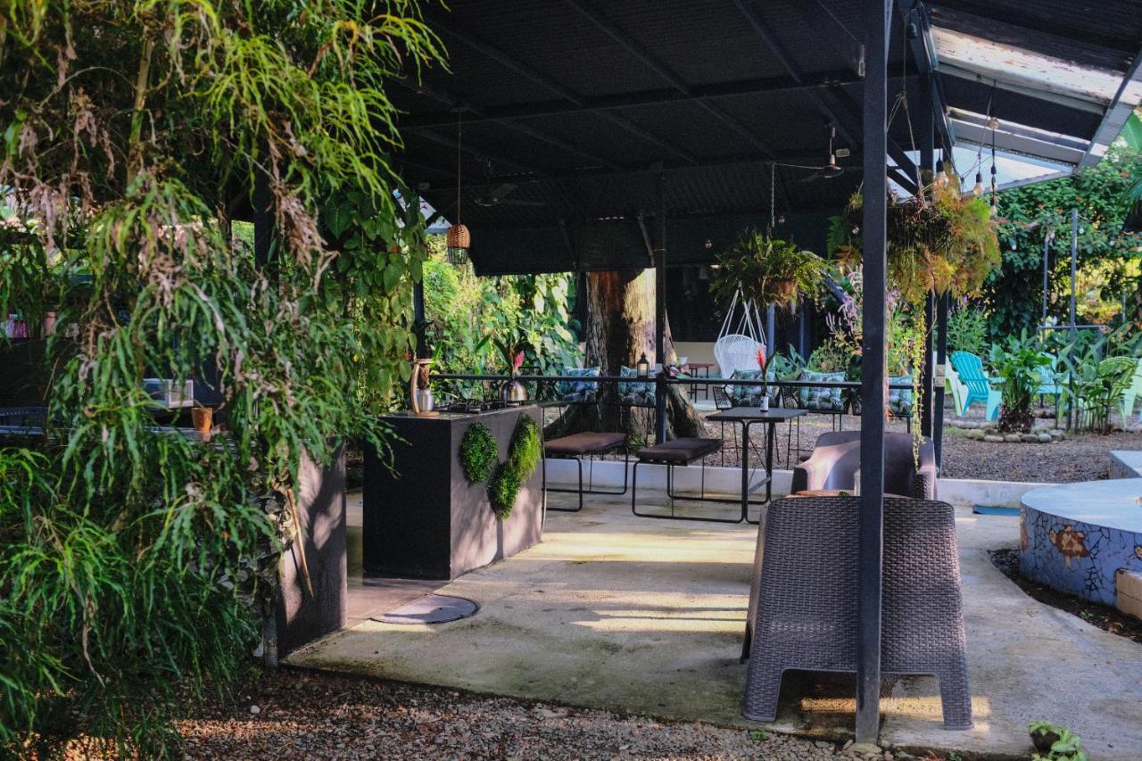 Koru Boutique Hostel Uvita Buitenkant foto