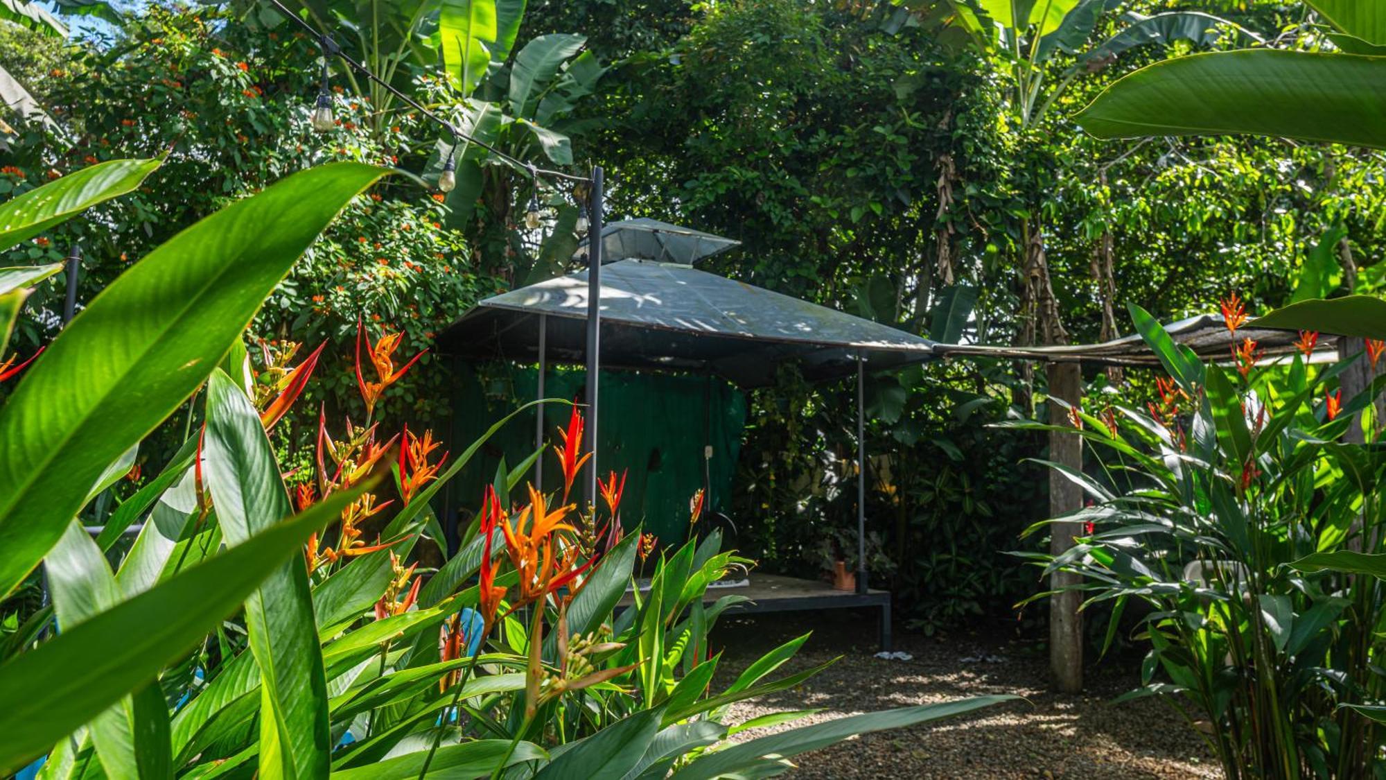 Koru Boutique Hostel Uvita Buitenkant foto